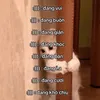 duongtranam