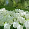 thanhthanh2415