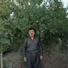 hakimnogharani