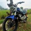 plecit135cc