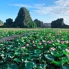 nguyenbang2003