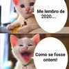 marcianardez0