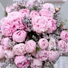 leily.82