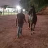 user37jwk3kgv2