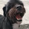 zefelipemax077
