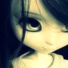 shanvzx