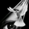 user6039167314990