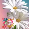 user5381332147610