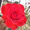 relebogile697