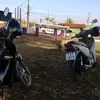 ticarycatika