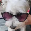 sono_una_cartella