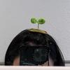 just_a_sprout