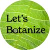 Let’s Botanize