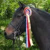 online.horsecompetition