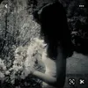 ynazmm.09