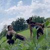 barkatthings