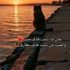 user4161451437724