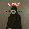 313zainab47