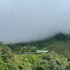dung_aka_5555