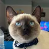 marialicha8