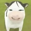 allyhy4