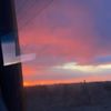 anna_saenz019