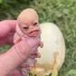 baby.sniffer