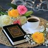 mohidil775