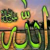user2208888909352