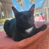 binibibi88