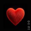 yunus_tz5