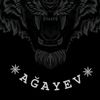 agayev8944