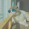nukochan1031