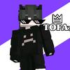 tofa_minecraft