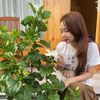 giautran1104
