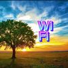 13wifi_wifi13