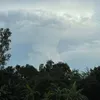 khoahocyy