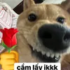 nga_2404