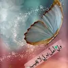 um_mohamad215