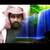 muhammadhaneef557