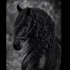 🖤 𝑀𝓏𝓊𝓇𝒾