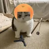 rashpatty