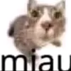 enfore69