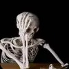 eswoxe_es902