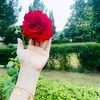 fariiiqureshi143