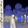 🇦🇪