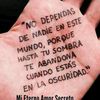 jorgezlovea79