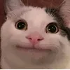 jeegsz0