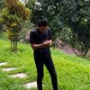 ayam_jago._