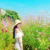 mephu.23tapban